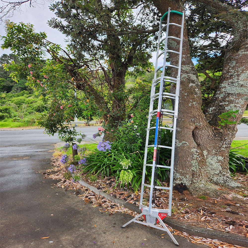 3D Climbing Frame Extension Ladders