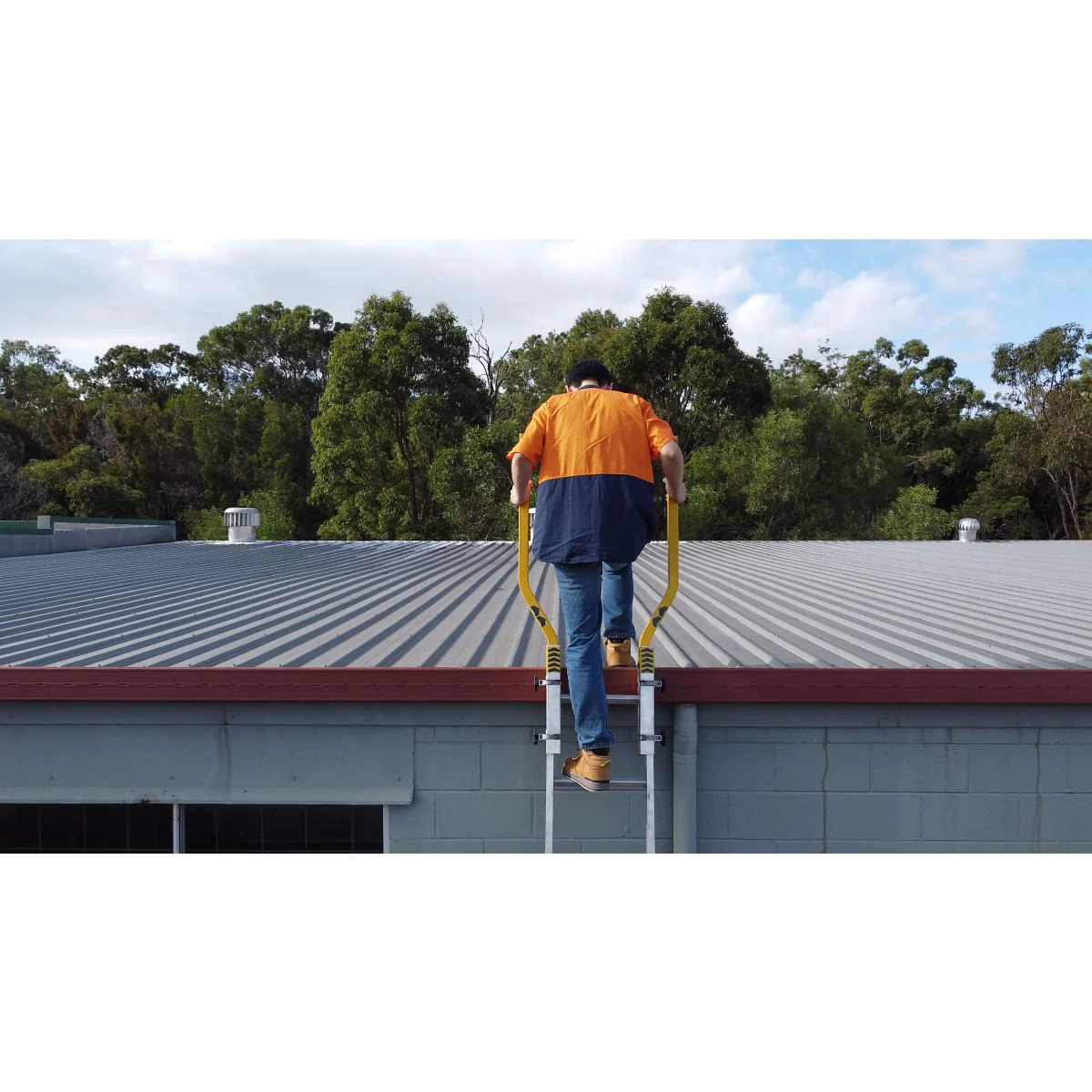 Extension Ladder Step Thru Safety Device