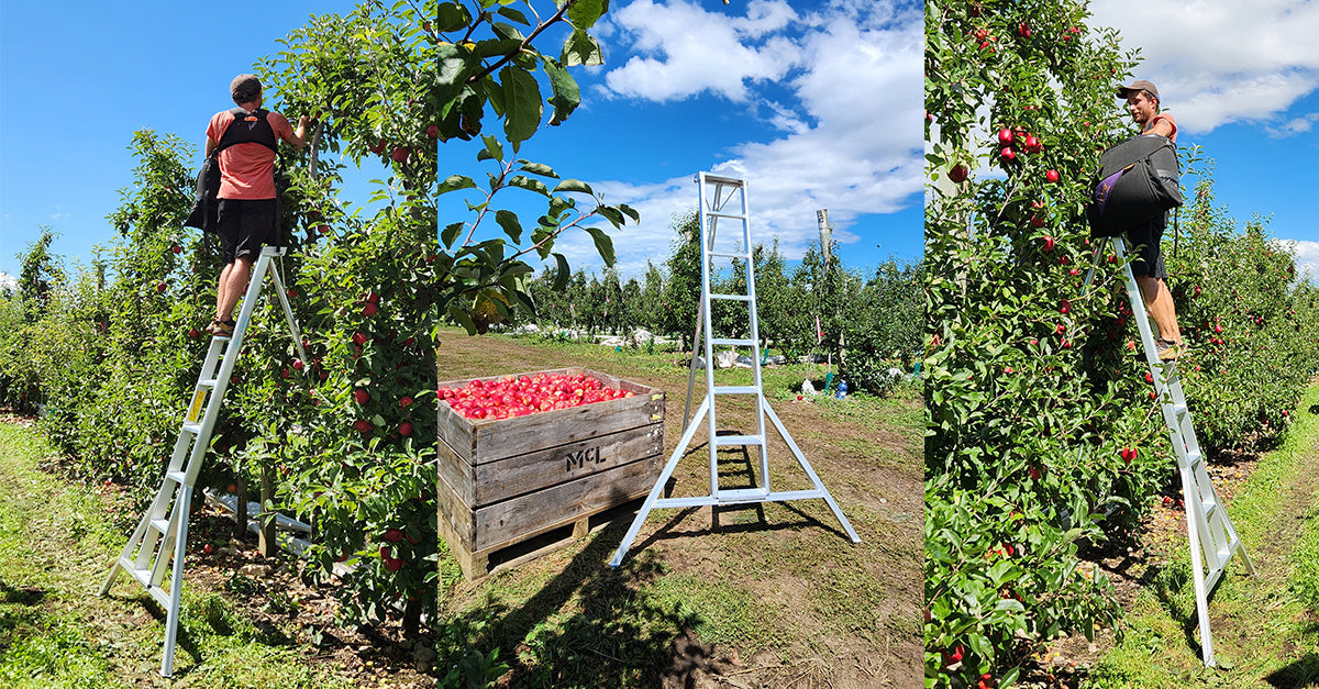 Why Tripod Ladders Are The Safe Choice For Horticulture Work