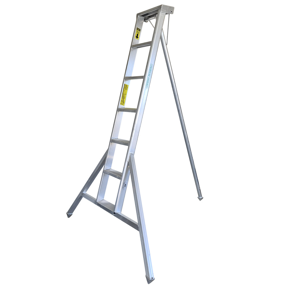 Professional Orchard Ladders