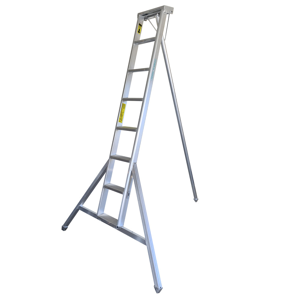 Professional Orchard Ladders