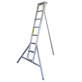Professional Orchard Ladders