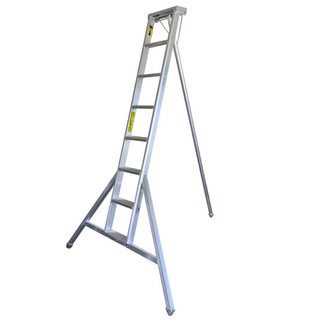 Professional Orchard Ladders