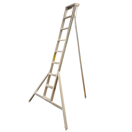 Professional Orchard Ladders