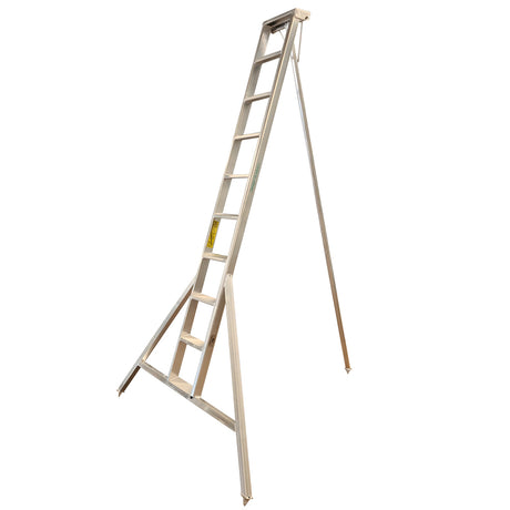 Professional Orchard Ladders