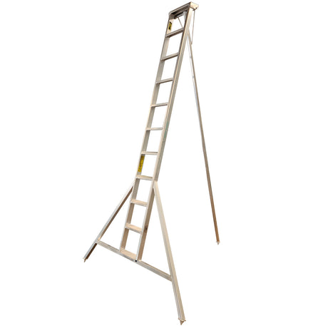 Professional Orchard Ladders