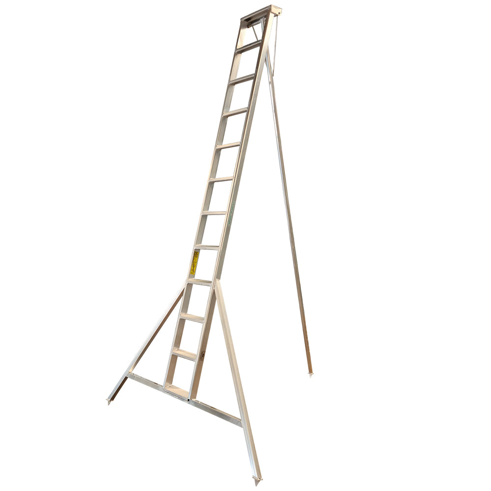 Professional Orchard Ladders