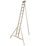 Professional Orchard Ladders