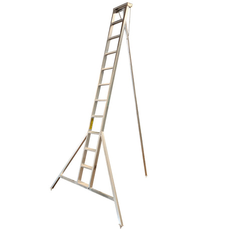 Professional Orchard Ladders