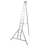 Professional Orchard Ladders