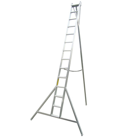 Professional Orchard Ladders