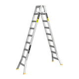 Easy Access Warthog Double Sided Ladders