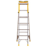 Bailey Pro Punchlock Step Extension Ladder