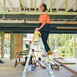Bailey Pro Punchlock Step Extension Ladder