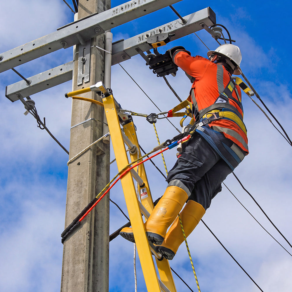 NEW Branach Hybrid Fall Control System Ladders
