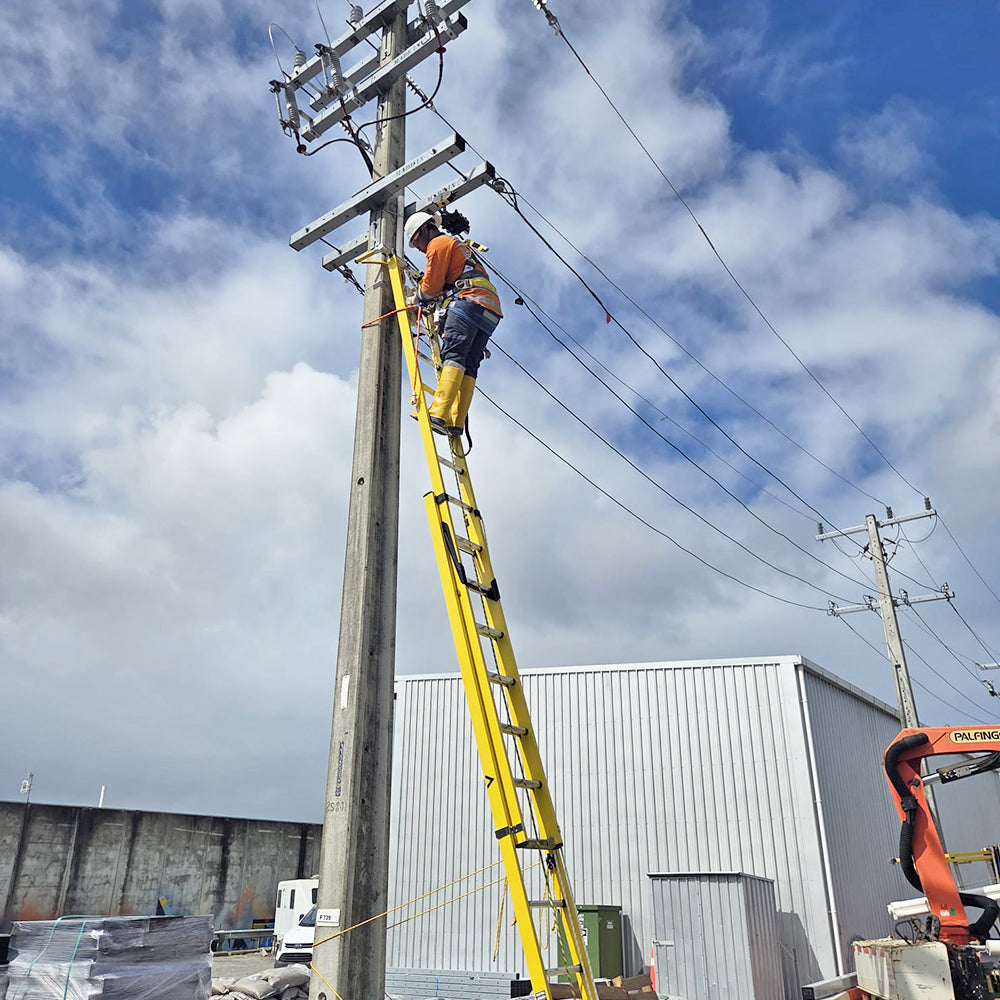 NEW Branach Hybrid Fall Control System Ladders