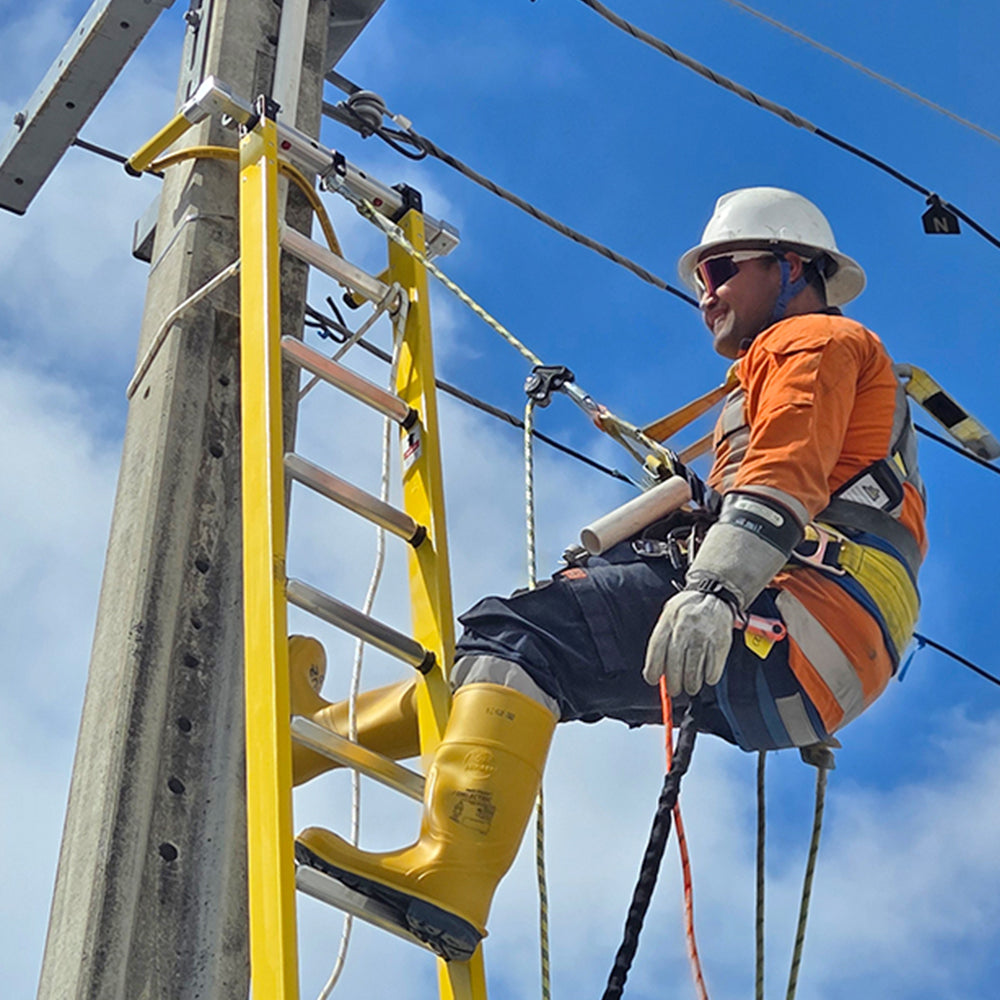 NEW Branach Hybrid Fall Control System Ladders