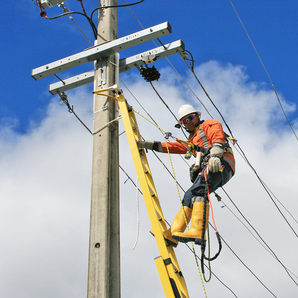 NEW Branach Hybrid Fall Control System Ladders