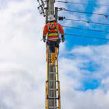 NEW Branach Hybrid Fall Control System Ladders
