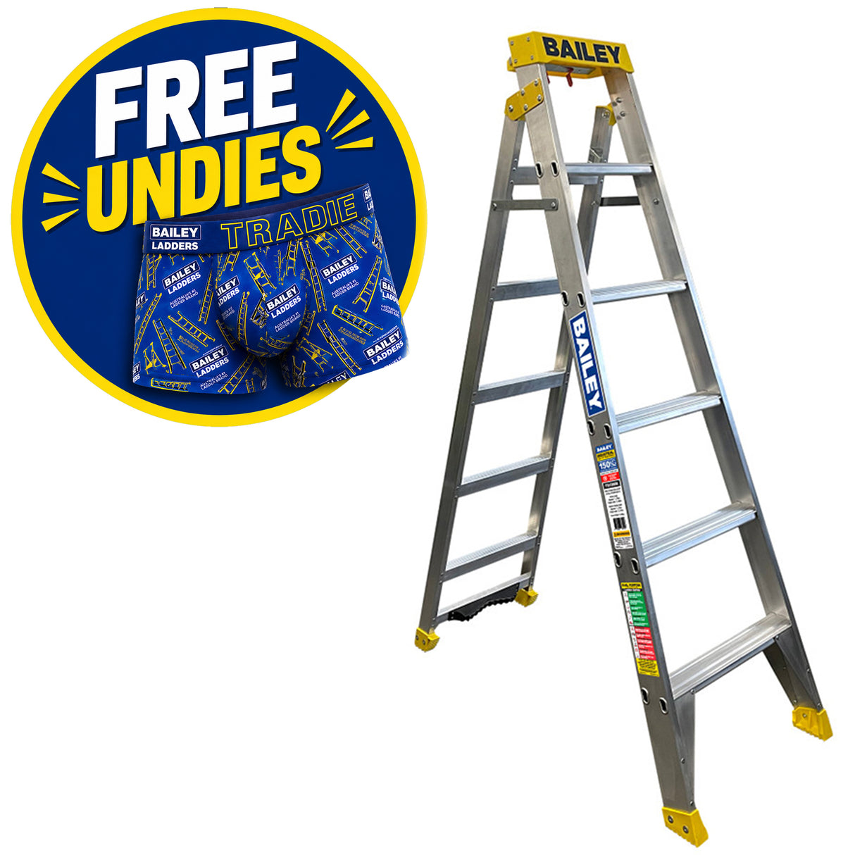Bailey Pro Punchlock Dual Purpose Ladder 150kg