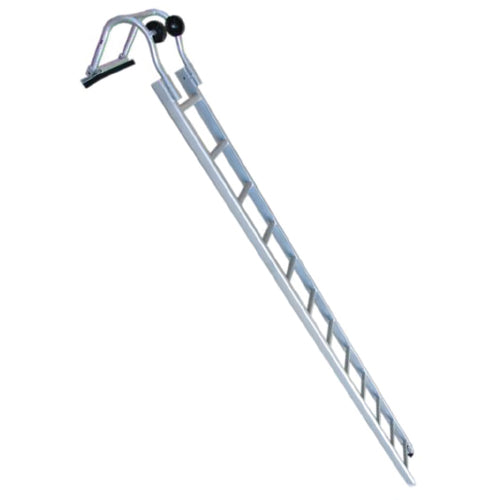 Modular Industrial Roof Ladders