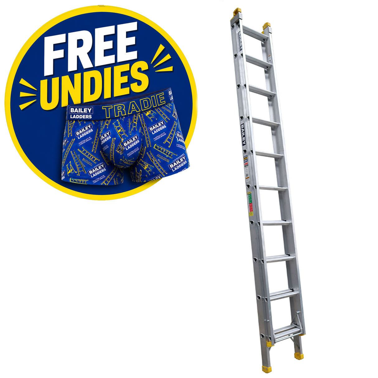 Bailey Pro Extension Ladder Aluminium