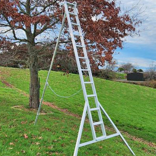 Property Care Ladders with Adjustable Legs