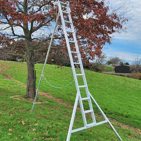 Property Care Ladders with Adjustable Legs