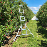 Professional Orchard Ladders