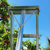 Professional Orchard Ladders