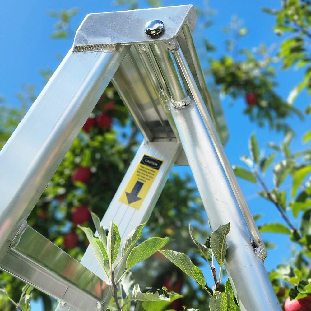 Professional Orchard Ladders