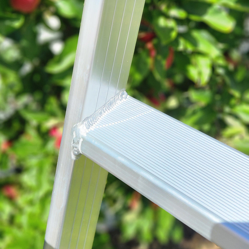 Professional Orchard Ladders