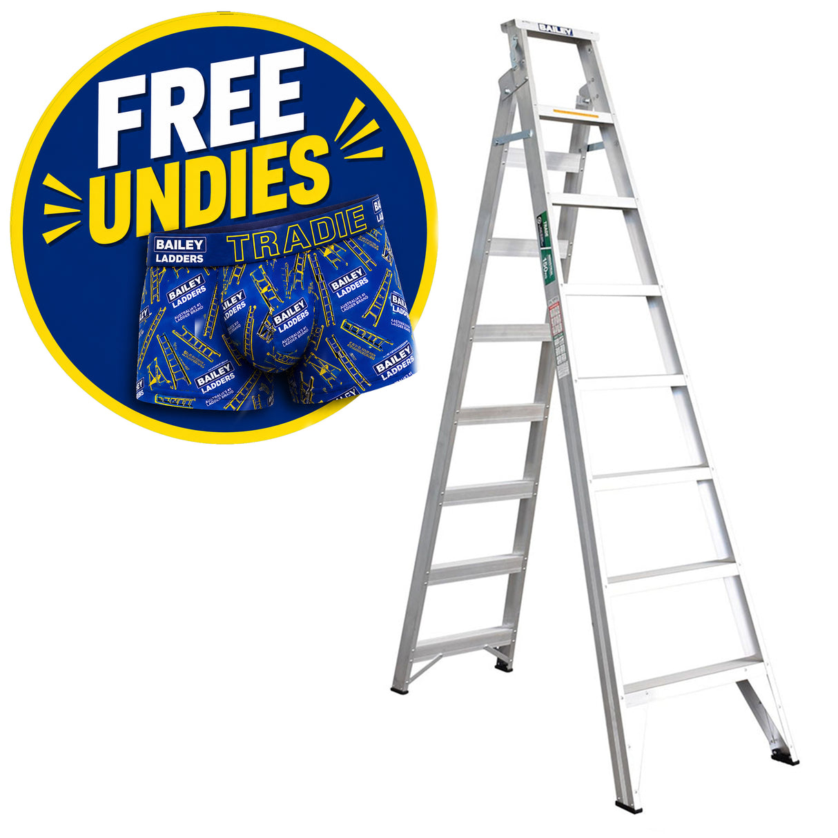 Bailey Trade Dual Purpose Ladder